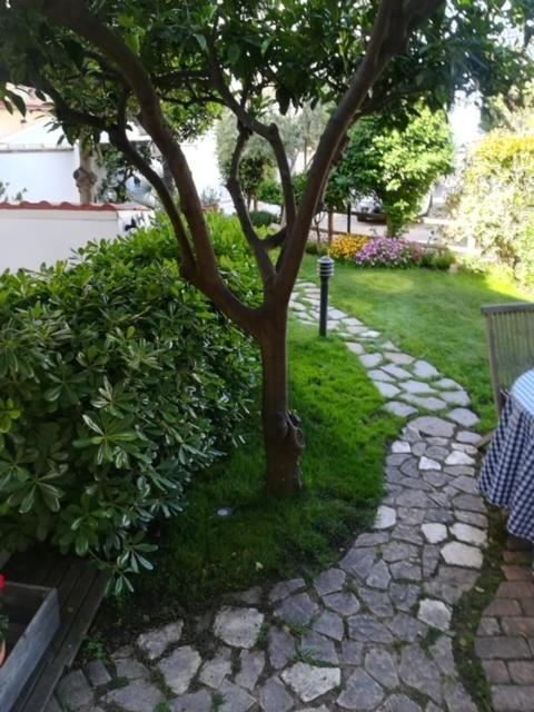 Candida'S House Alghero Buitenkant foto